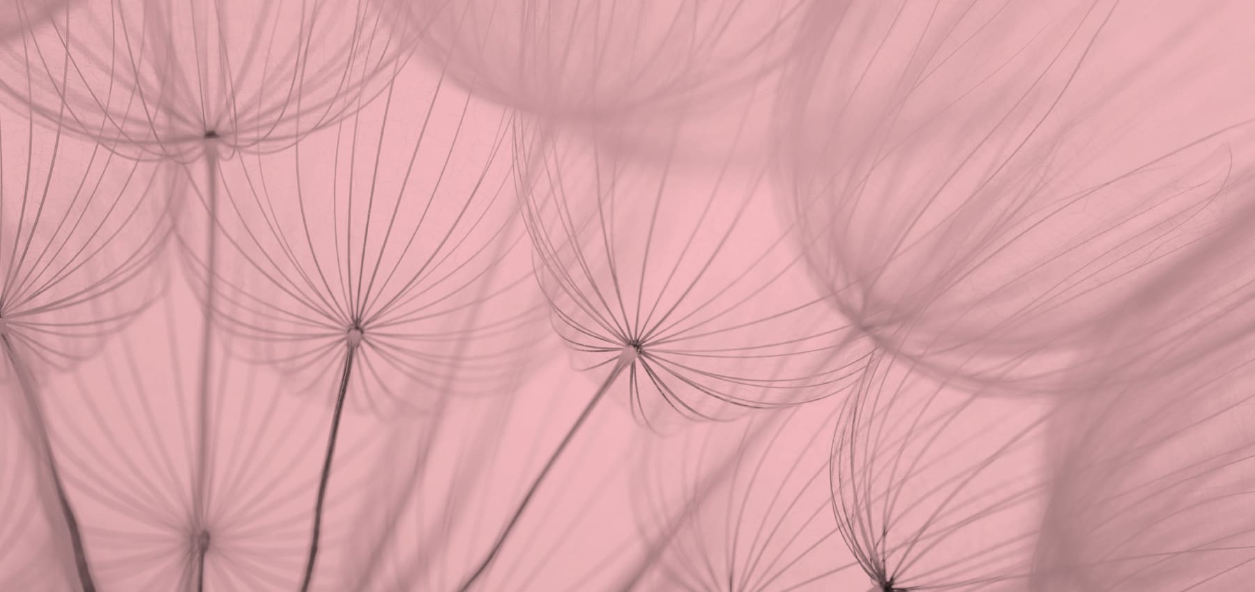 Förebygg utagerande beteende